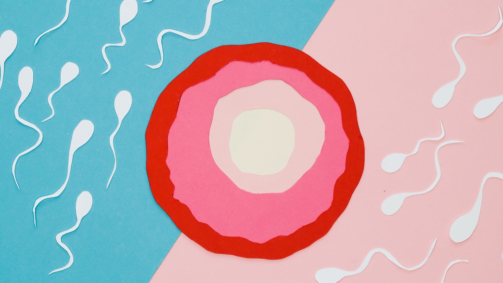 Soft editorial illustration of a basal thermometer, a BBT chart and morning light — representing gentle, evidence-based ovulation tracking